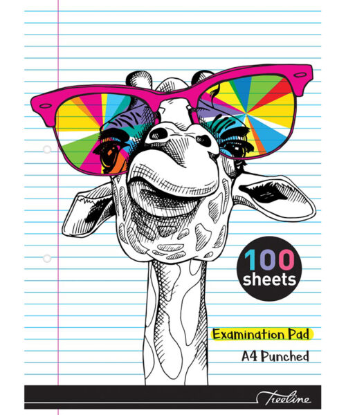 A4 Exam Pad 100pg Punched