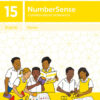 NumberSense Comprehensive Workbook 15