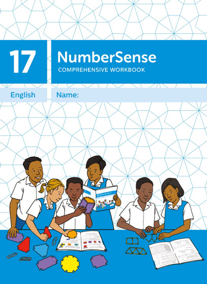 NumberSense Comprehensive Workbook 17