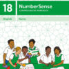 NumberSense Comprehensive Workbook 18