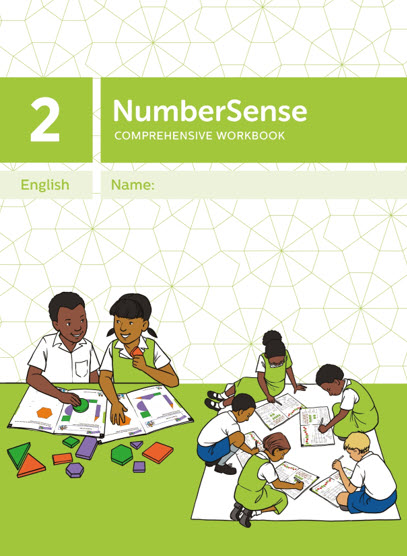 NumberSense Comprehensive Workbook 2
