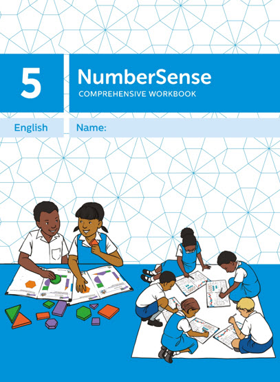 NumberSense Comprehensive Workbook 5