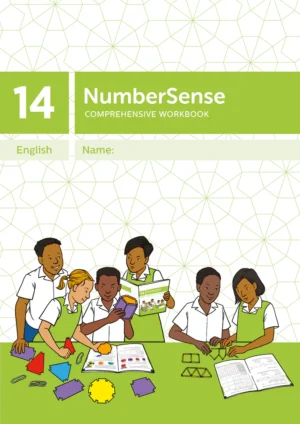 NumberSense Comprehensive Workbook 14