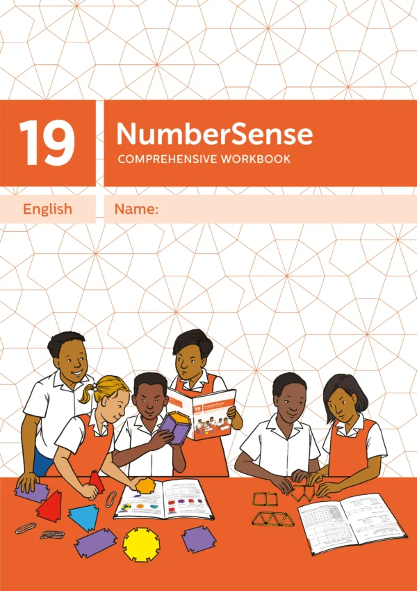 NumberSense Comprehensive Workbook 19