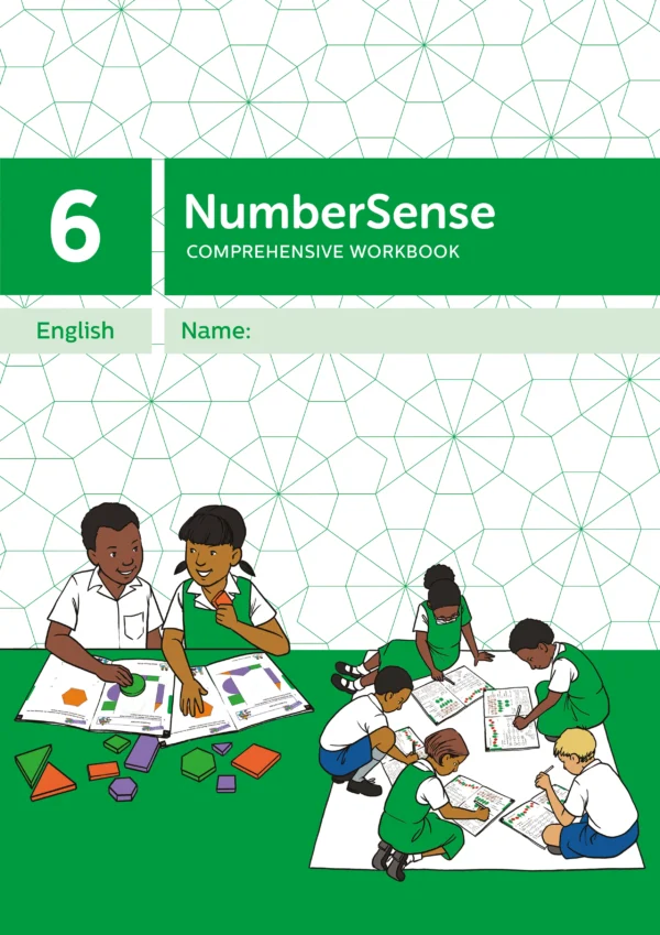 NumberSense Comprehensive Workbook 6