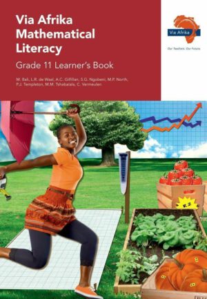 Via Afrika Mathematical Literacy Grade 11 Learner’s Book (CAPS)